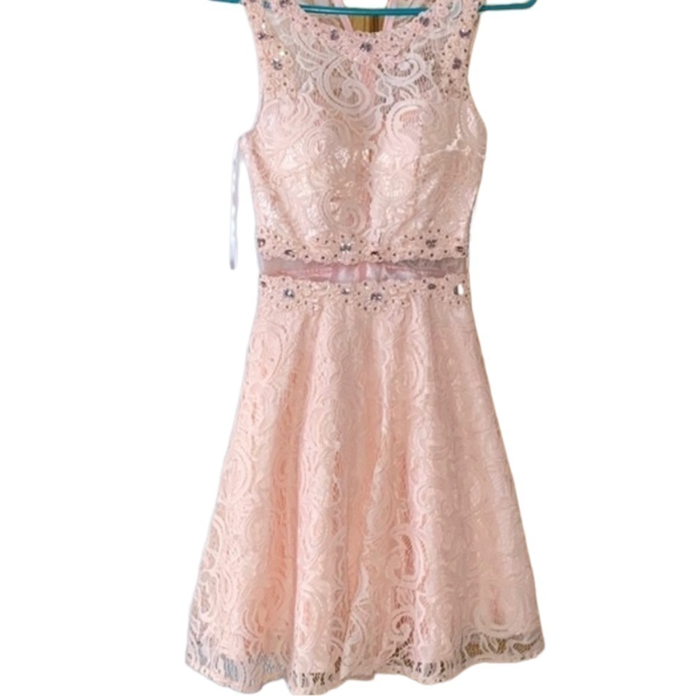 Any Lee Pink Lace Dress Large